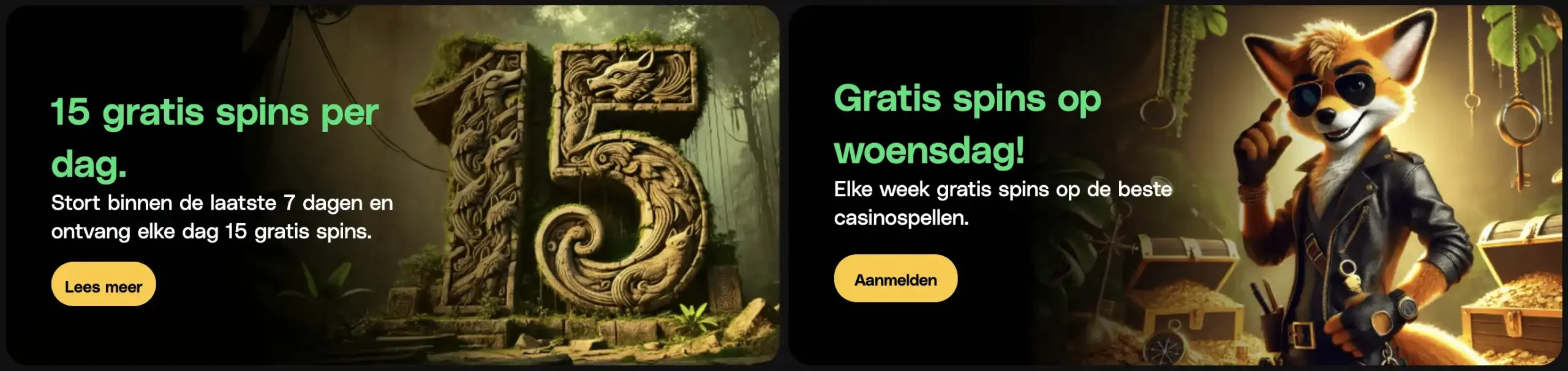 Promoties en Bonussen